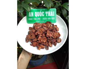 Táo mèo có tác dụng chữa bệnh gì? Mua ở đâu? Giá quả táo mèo bao nhiêu