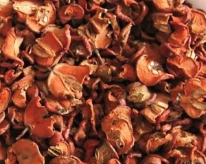 Táo mèo có tác dụng chữa bệnh gì? Mua ở đâu? Giá quả táo mèo bao nhiêu