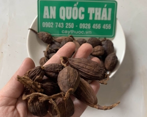 Thảo quả có tác dụng chữa bệnh gì? Cách dùng quả thảo quả nấu ăn.