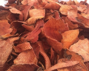 Thổ phục linh dược liệu quý có nhiều tác dụng chữa bệnh. Mua ở đâu?