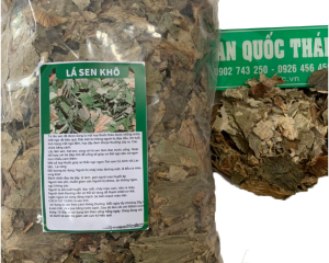 Top 10 lá thuốc nam giảm cân, giảm mỡ thừa an toàn, hiệu quả nhất