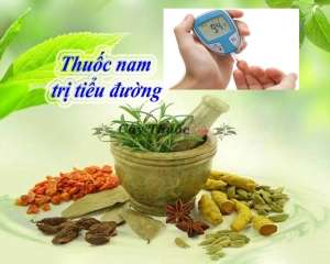 Top 12 Cây thuốc nam trị bệnh tiểu đường hiệu quả nhất