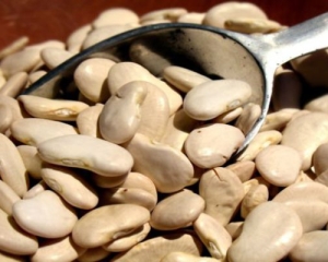 Bạch biển đậu: Tác dụng, cách sử dụng, liều dùng, địa chỉ bán TP HCM.