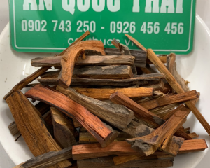 Tô mộc (cây vang đỏ): Tác dụng và cách dùng chữa bệnh của cây tô mộc.