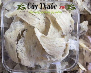 Tổ yến: tác dụng, cách chưng, giá bán tổ yến, mua ở đâu TP HCM?
