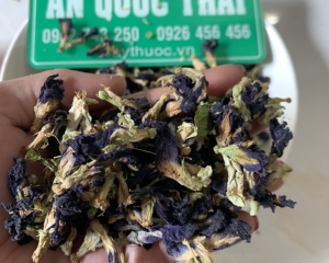 Hoa đậu biếc có tác dụng gì? Cách sử dụng hoa đậu biếc khô hoặc tươi.