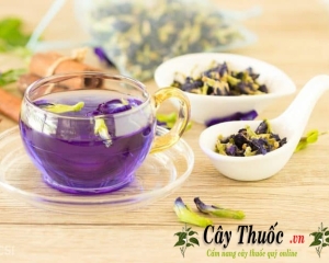 Hoa đậu biếc có tác dụng gì? Cách sử dụng hoa đậu biếc khô hoặc tươi.