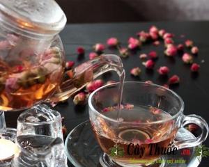 Trà hoa hồng có tác dụng gì? Cách pha trà hoa hồng tốt cho sức khỏe.