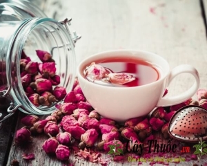 Trà hoa hồng có tác dụng gì? Cách pha trà hoa hồng tốt cho sức khỏe.