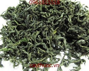 Trà xanh  có tác dụng gì? Những điều cấm kị khi dùng.