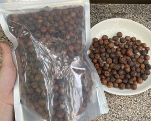 Trái đủng đỉnh: Dược liệu đa năng cho sức khỏe