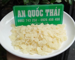 Tuyết liên tử (tạo giác mễ - hạt bồ mễ ) chất lượng công dụng thần kỳ.