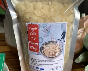 Tuyết liên tử (tạo giác mễ - hạt bồ mễ ) chất lượng công dụng thần kỳ.