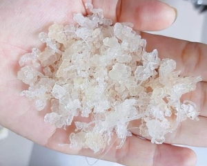 Tuyết yến là gì? Công dụng, giá thành, nơi mua, cách sử dụng