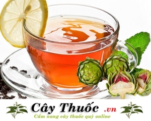 Uống gì cho mát gan? Lá cây thuốc uống mát gan mà bạn nên biết.