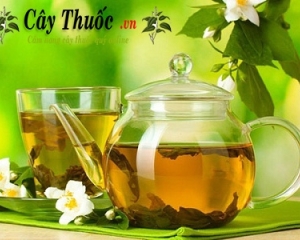 Uống gì cho mát gan? Lá cây thuốc uống mát gan mà bạn nên biết.