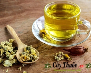 Uống gì cho mát gan? Lá cây thuốc uống mát gan mà bạn nên biết.