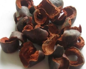 Vỏ măng cụt có tác dụng gì? Công dụng, cách sử dụng vỏ măng cụt khô?