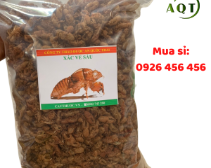 Xác ve sầu có tác dụng gì? Chữa bệnh gì? Xác ve sầu giá bao nhiêu?