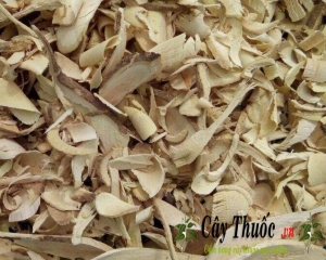 Xáo tam phân nhận biết và cách dùng trong việc điều trị bệnh ung thư.