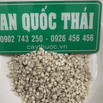 Ý dĩ là gì? Hạt ý dĩ có tác dụng gì? Mua ở đâu? Giá bán bao nhiêu?